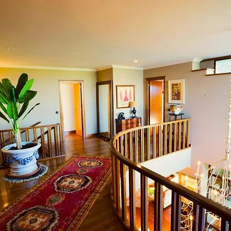 Casa Liso * Картавио